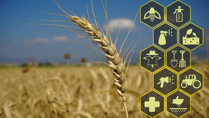 Somos distribuidores de productos agropecuarios medico veterinarios importados directamente desde Brasil por Agropecuaria Tamboril, C.A.