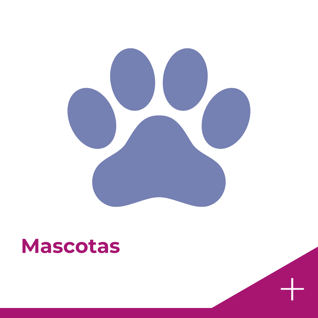 Mascotas