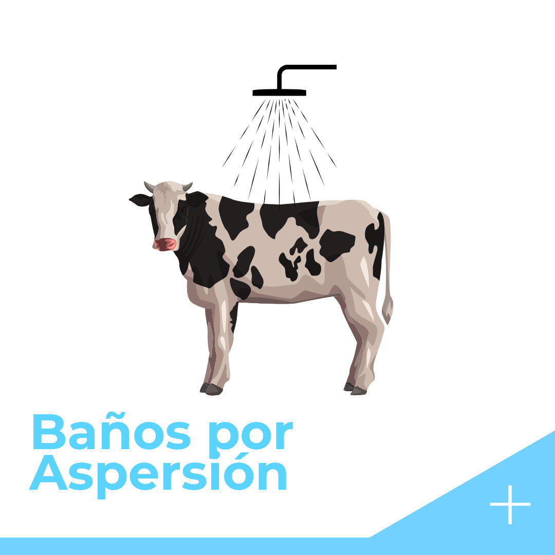 Baños Aspersión
